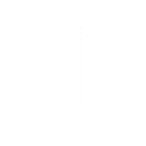 speaker icon